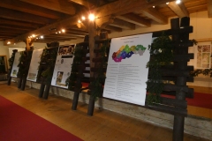 P1010242