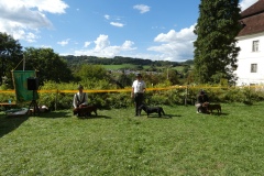 P1010536