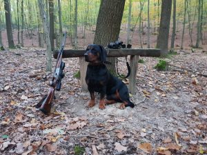 Pracovný výber Alpských jazvečíkovitých duričov – propozície