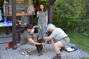 Bonitácia AJD Lednické Rovné – propozície