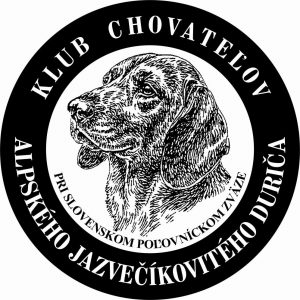 Povýstavný katalóg